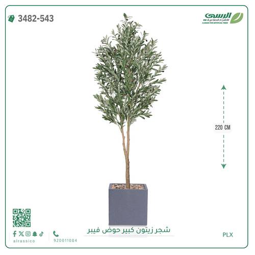 شجرة زيتون صناعية ( ارتفاع 220 سم ) حوض فيبر