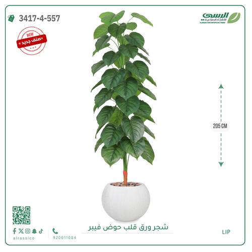 شجرة ورق قلب اصطناعية ( ارتفاع 205 سم ) حوض فيبر