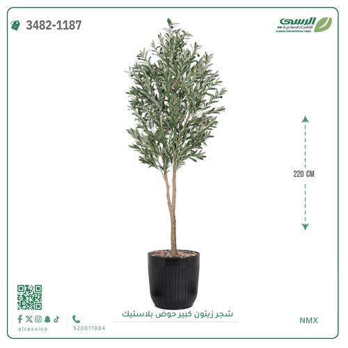 شجرة زيتون صناعية ( ارتفاع 220 سم ) حوض بلاستك