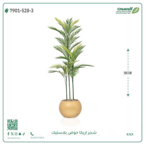 شجرة اريكا صناعية ( ارتفاع 165 سم ) حوض بلاستك