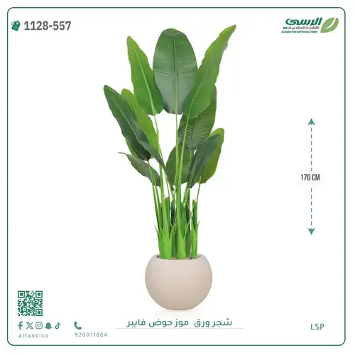 شجر موز صناعية ( ارتفاع 170 سم ) حوض فيبر