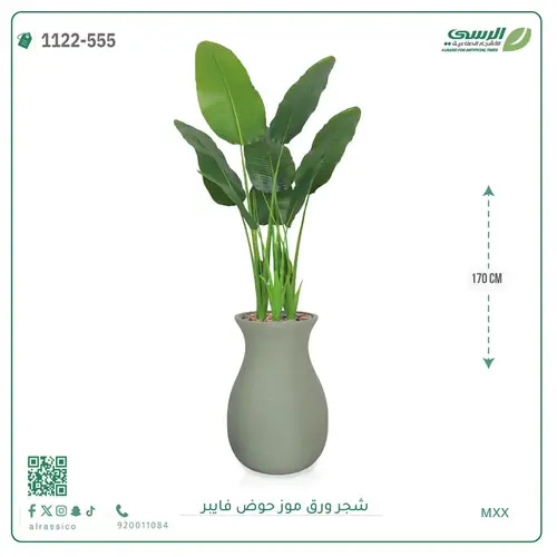 شجرة موز صناعية ( ارتفاع 170 سم ) حوض فيبر