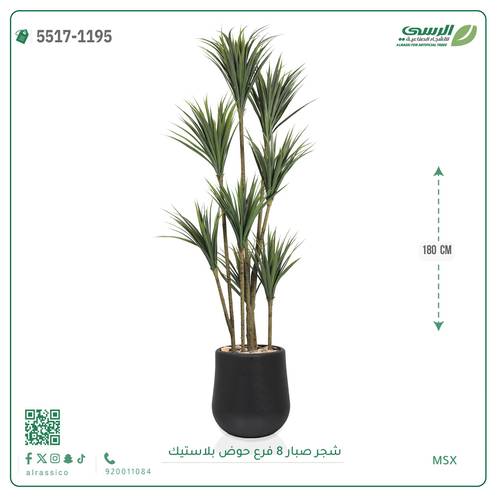 شجر صبار صناعية ( ارتفاع 180 سم ) حوض بلاستيك