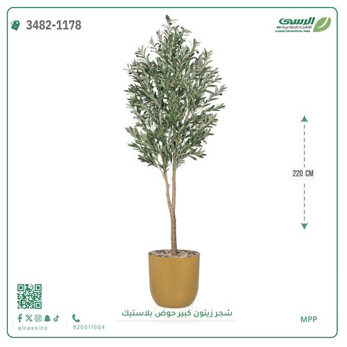 شجرة زيتون صناعية ( ارتفاع 220 سم ) حوض بلاستك