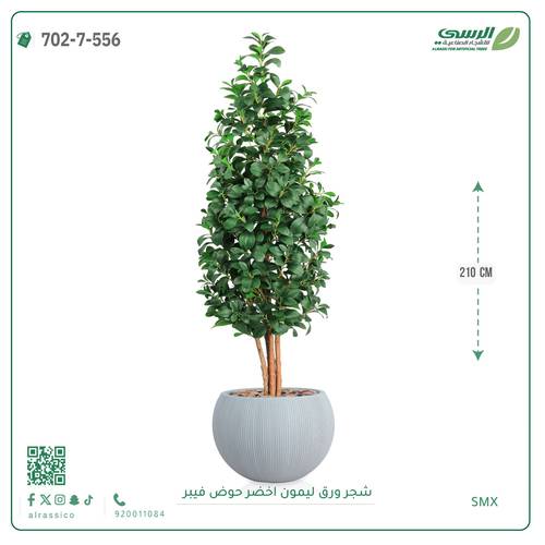شجرة ليمون اصطناعية ( ارتفاع 210 سم ) حوض فايبر
