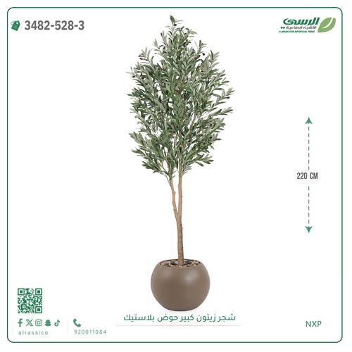 شجرة زيتون صناعية ( ارتفاع 220 سم ) حوض بلاستك