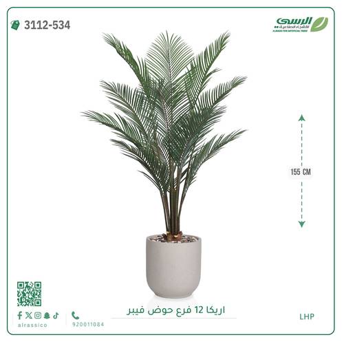 شجر أريكا صناعية ( ارتفاع 155 سم ) حوض فيبر