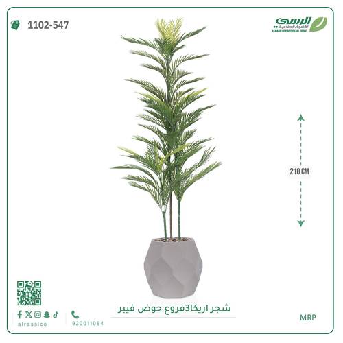شجرة أريكا اصطناعية (3 فرع) بمركن فيبر