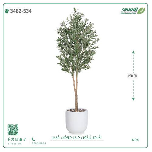 شجرة زيتون صناعية ( ارتفاع 220 سم ) حوض فيبر