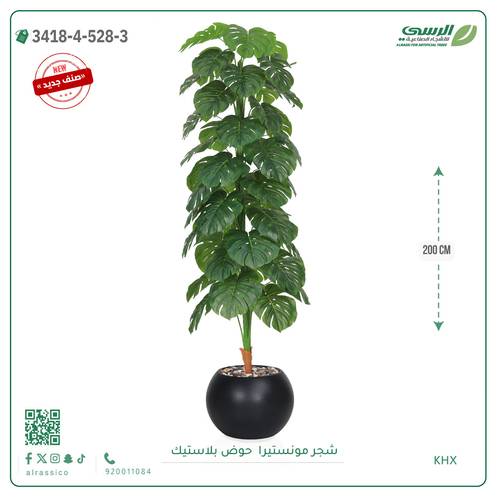 شجرة مونستيرا صناعية ( ارتفاع 200 سم ) حوض بلاستيك