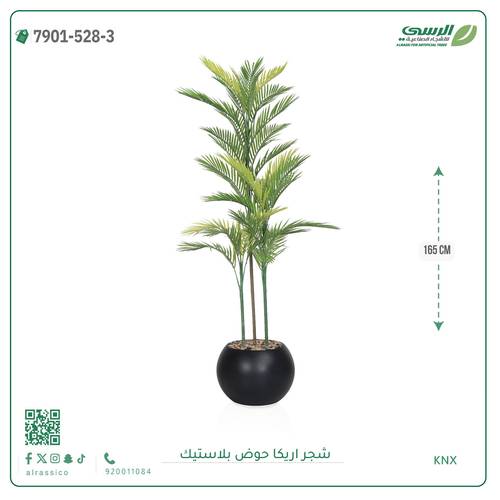 شجرة اريكا صناعية ( ارتفاع 165 سم ) حوض بلاستك