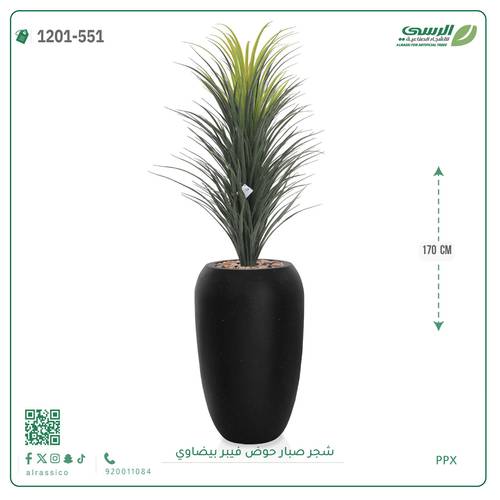 شجر صبار صناعية ( ارتفاع 170 سم ) حوض فيبر