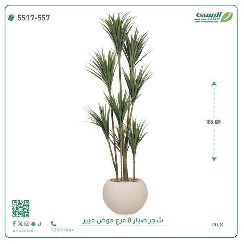 شجرة صبار صناعية ( ارتفاع 185 سم ) حوض فيبر مقلم