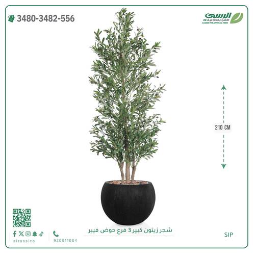 شجرة زيتون صناعية (ارتفاع 210 سم) حوض فيبر