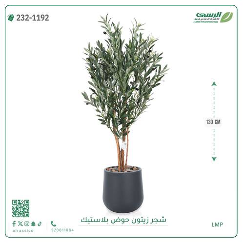 شجر زيتون صناعي ( ارتفاع 130 سم ) حوض بلاستيك