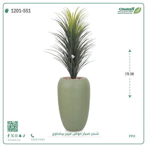شجر صبار صناعية ( ارتفاع 170 سم ) حوض فيبر