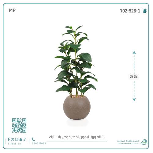  شتلة ورق ليمون اصطناعية بمركن بلاستيك دائري
