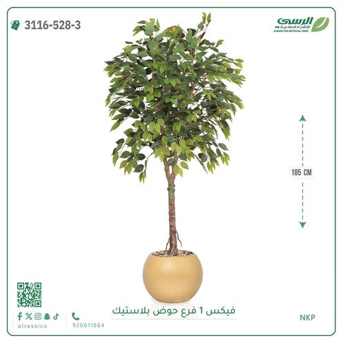 شجرة فيكس صناعية ( ارتفاع 185 سم ) حوض بلاستيك