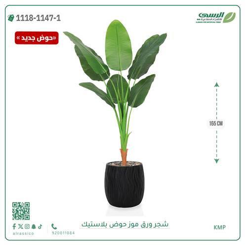 شجرة موز صناعية ( ارتفاع 170 سم ) حوض بلاستيك