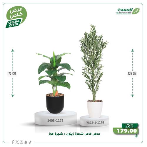 عرض شجرة زيتون صناعية ( ارتفاع 175 سم ) + شجرة ورق موز صناعية ( ارتفاع 75 سم ) حوض بلاستيك