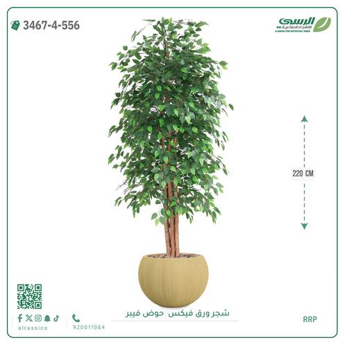 شجرة فيكس اصطناعية ( ارتفاع 220 سم ) حوض فايبر