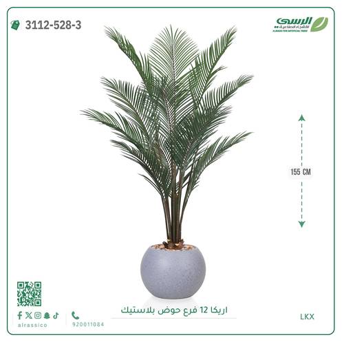 شجر أريكا صناعية ( ارتفاع 155 سم ) حوض بلاستيك
