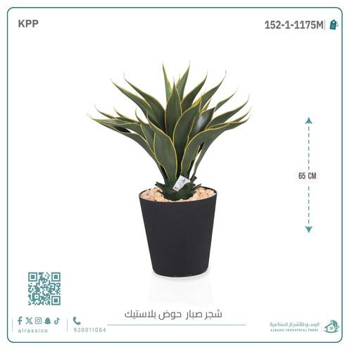 صبار ذيل الثعلب الصناعي بمركن بلاستيك اسطوانى 