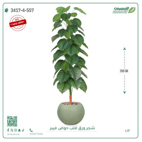 شجرة ورق قلب اصطناعية ( ارتفاع 205 سم ) حوض فيبر