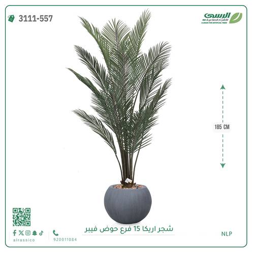 شجرة أريكا صناعية ( ارتفاع 185 سم ) حوض فيبر