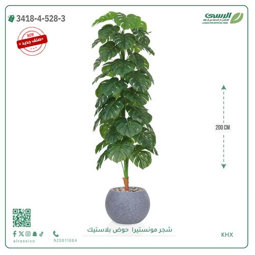 شجرة مونستيرا صناعية ( ارتفاع 200 سم ) حوض بلاستيك