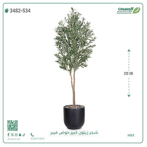 شجرة زيتون صناعية ( ارتفاع 220 سم ) حوض فيبر