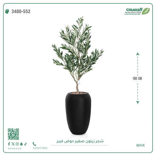  شجرة زيتون اصطناعية صغيرة بمركن فيبر اسطوانى 