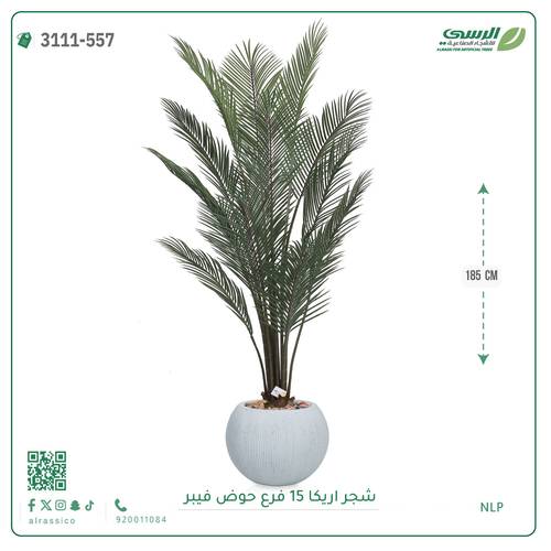 شجرة أريكا صناعية ( ارتفاع 185 سم ) حوض فيبر