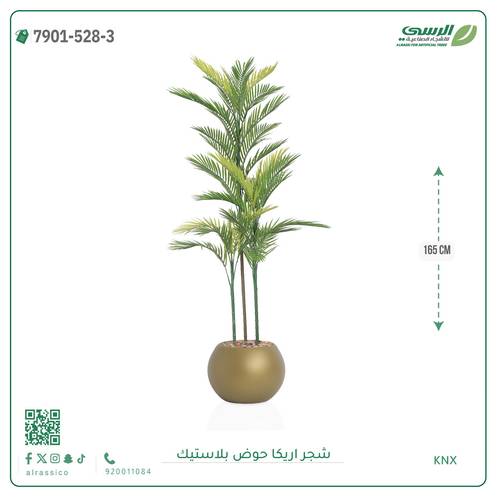 شجرة اريكا صناعية ( ارتفاع 165 سم ) حوض بلاستك