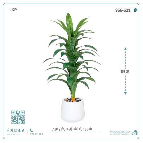 شجرة نبات الذرة (دراسينا) الاصطناعية بمركن فيبر بيضاوى
