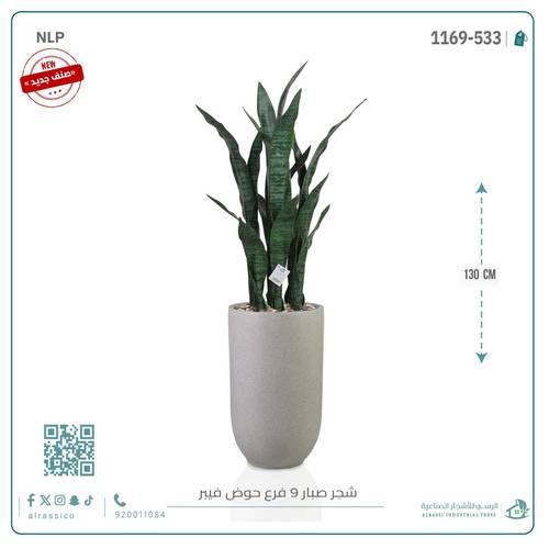 صبار جلد النمر الأخضر بحوض فيبر