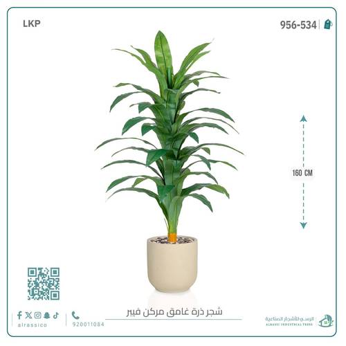 شجرة نبات الذرة (دراسينا) الاصطناعية بمركن فيبر أسطواني