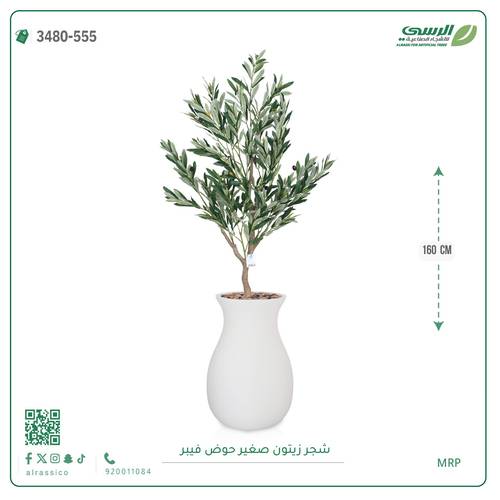 شجرة زيتون اصطناعية ( ارتفاع 160 سم ) حوض فيبر