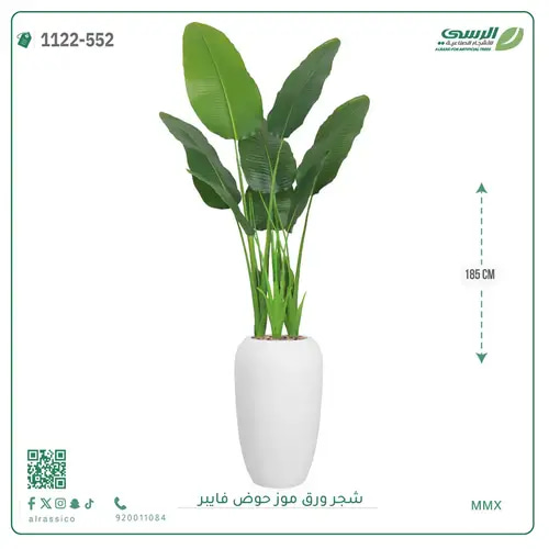 شجرة موز صناعية ( ارتفاع 185 سم ) حوض فيبر