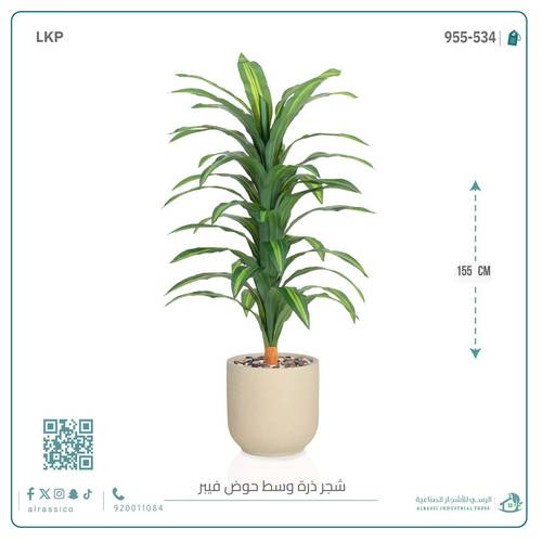  شجرة نبات الذرة (دراسينا) الاصطناعية كبيرة بمركن فيبر  أسطواني 
