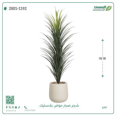 شجر صبار صناعي ( ارتفاع 155 سم ) حوض بلاستيك