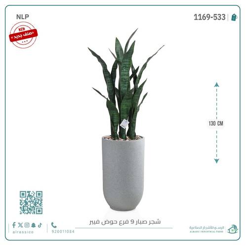 صبار جلد النمر الأخضر بحوض فيبر