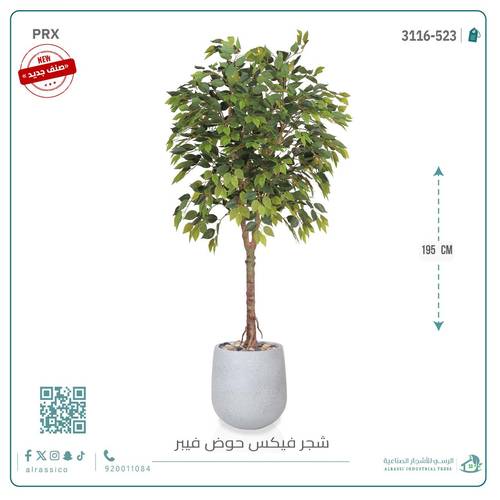 شجرة فيكس صناعيبارتفاع (195) بمركن فيبر