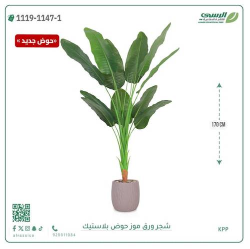 شجرة موز صناعية ( ارتفاع 170 سم ) حوض بلاستيك