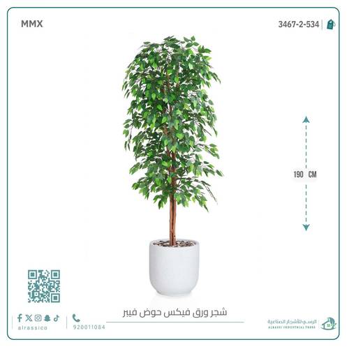 شجرة ورق فيكس اصطناعية بمركن فيبر  أسطواني