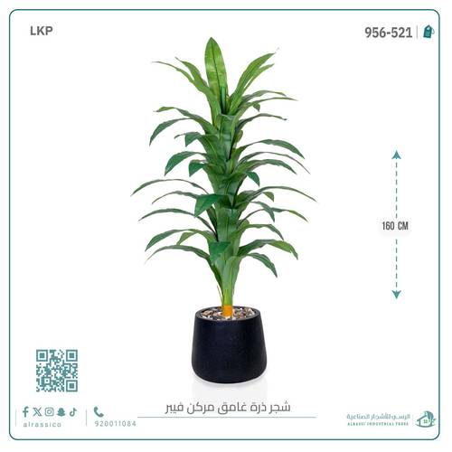 شجرة نبات الذرة (دراسينا) الاصطناعية بمركن فيبر بيضاوى