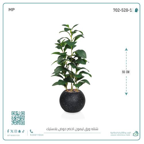  شتلة ورق ليمون اصطناعية بمركن بلاستيك دائري