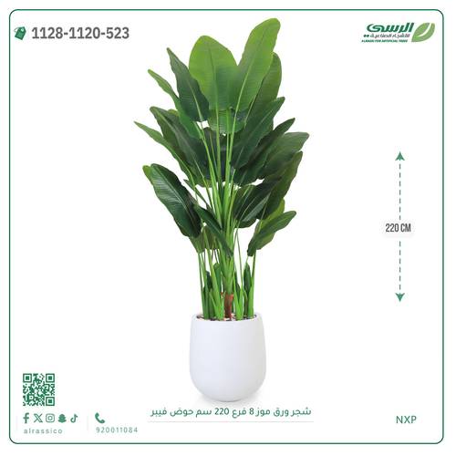 شجرة ورق موز صناعية (ارتفاع 220 سم) حوض فيبر