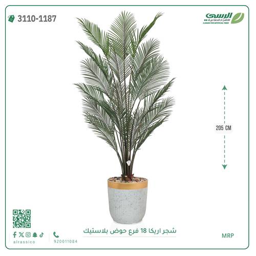 شجر اريكا صناعية ( ارتفاع 205 سم ) حوض بلاستك