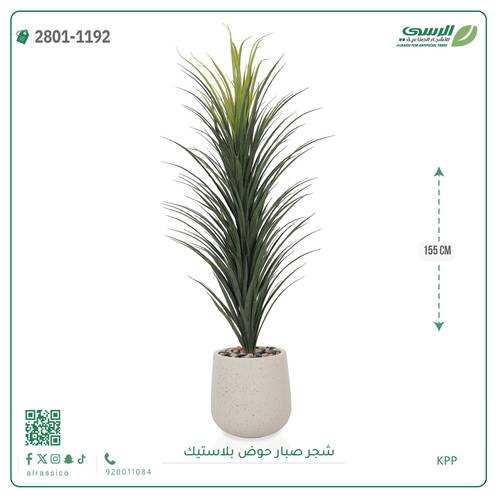 شجر صبار صناعي ( ارتفاع 155 سم ) حوض بلاستيك